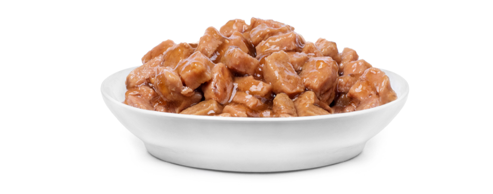 pet food