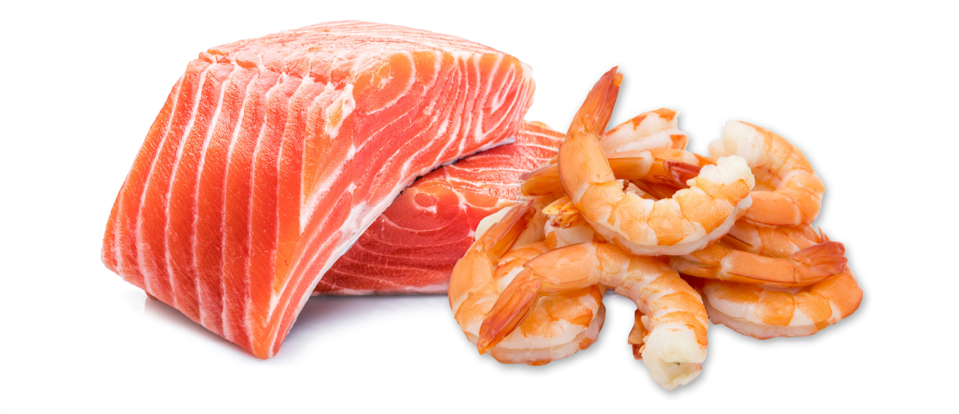 seafood